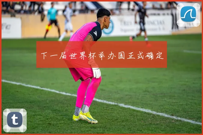 下一届世界杯举办国正式确定