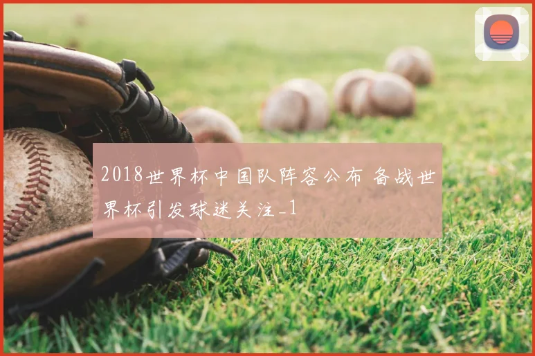 2018世界杯中国队阵容公布 备战世界杯引发球迷关注_1