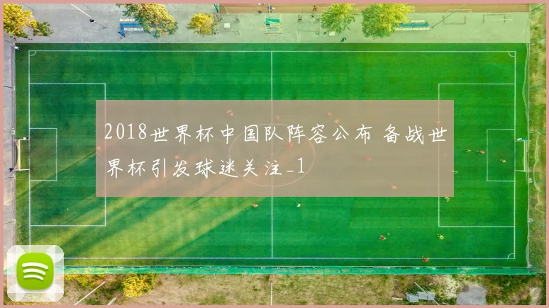 2018世界杯中国队阵容公布 备战世界杯引发球迷关注_1