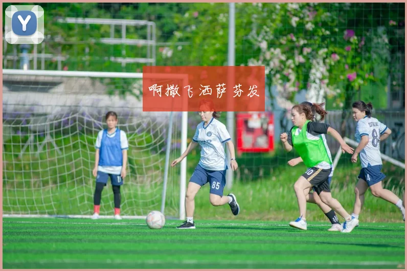 阿尔克马尔足球队备战关键战役 主力状态与阵容调整成焦点