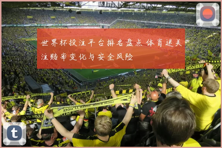 世界杯投注平台排名盘点 体育迷关注赔率变化与安全风险